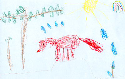 Rotfuchs gezeichnet von Johanna (6)